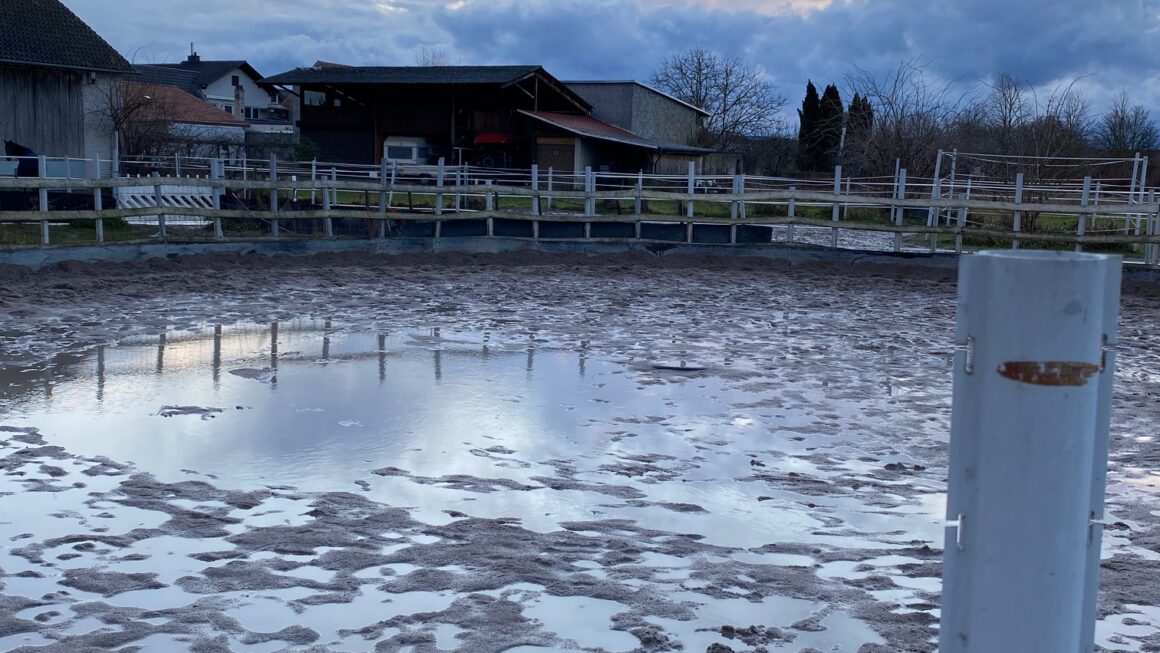 Freitag, 03.01.2025 – Erster Eintrag im neuen Jahr