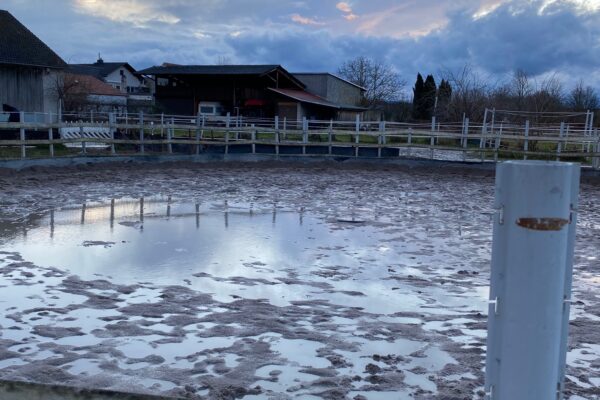 Freitag, 03.01.2025 – Erster Eintrag im neuen Jahr