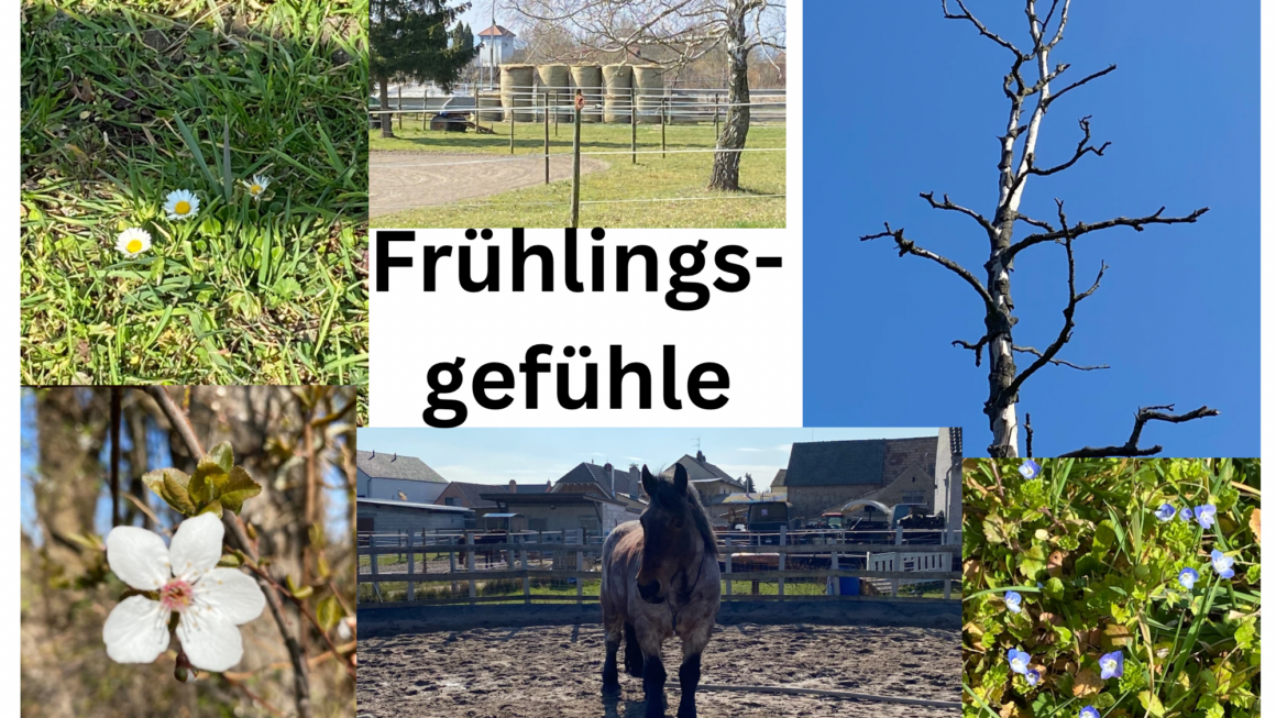 Frühlingsgefühle