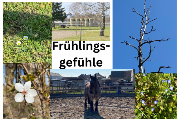Frühlingsgefühle