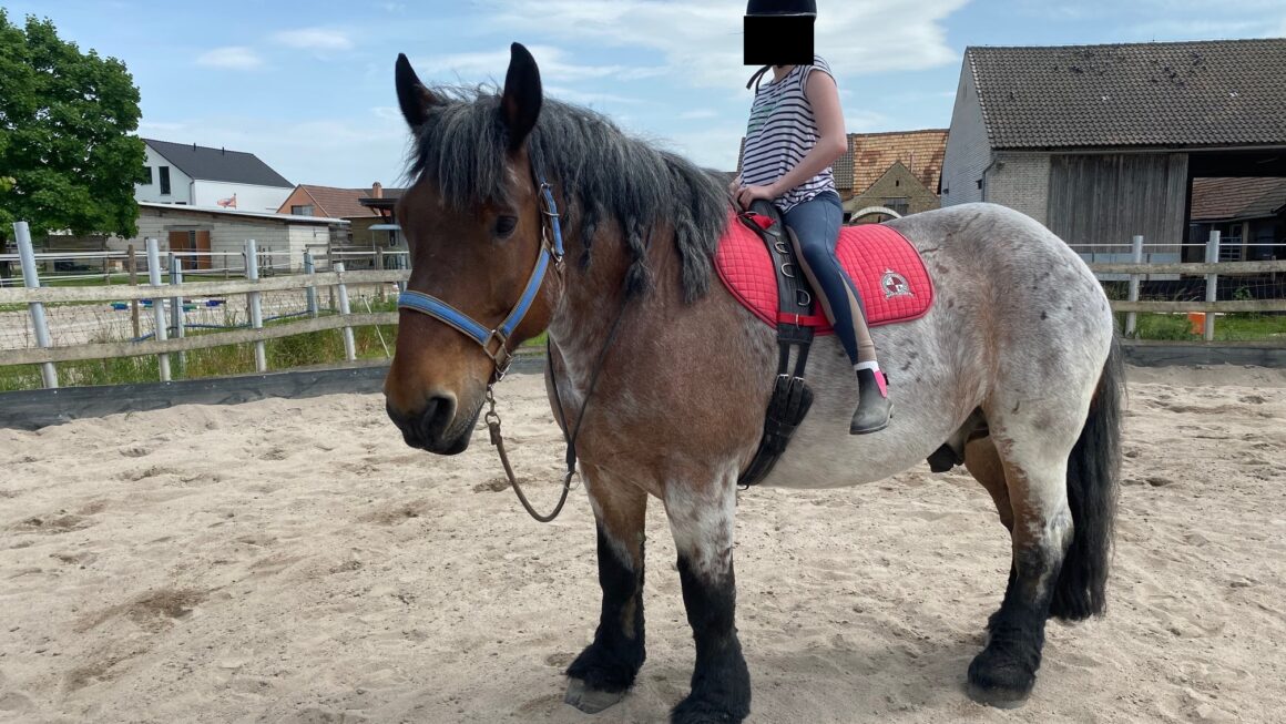 Wir tasten uns heran