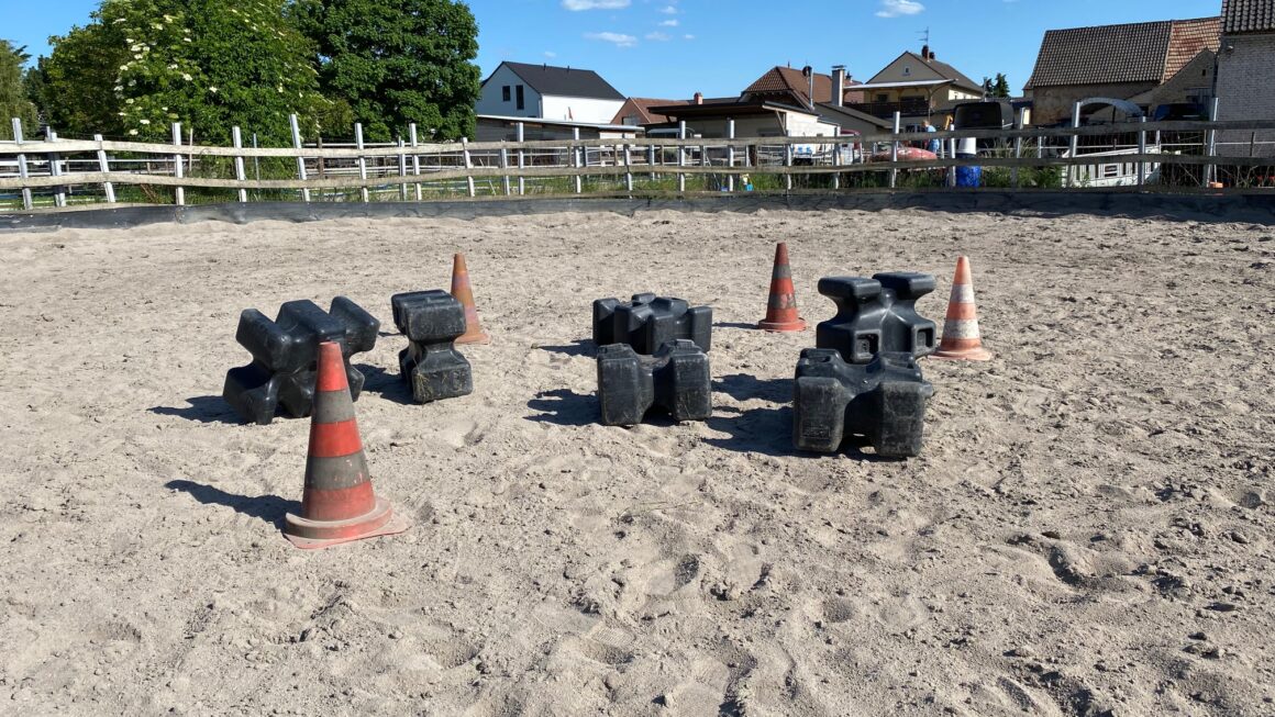Fortschritte und Rückschritte