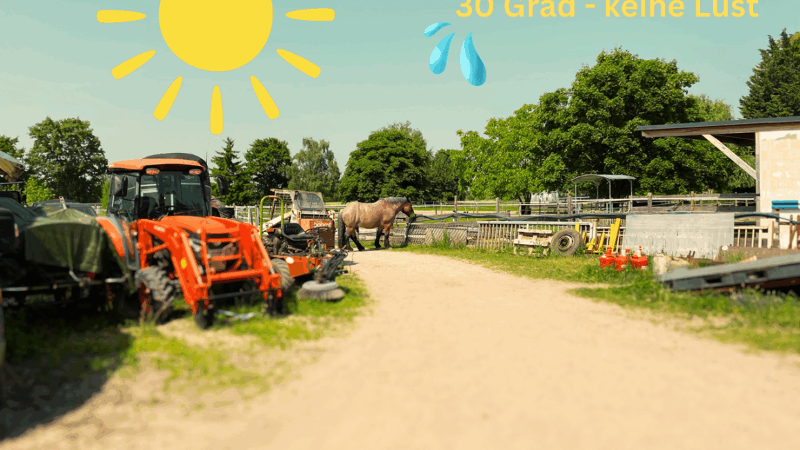 Das Kooperatorsignal – warum hat mir dieses Geheimnis bisher niemand verraten?