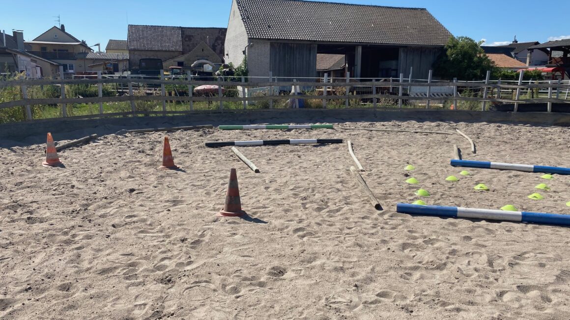 Ein Training voller Überraschungen – von kleinen Schritten zum großen Spaß