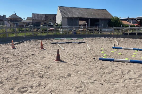 Ein Training voller Überraschungen – von kleinen Schritten zum großen Spaß