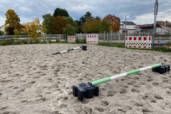 Erst das Vergnügen, dann die Arbeit