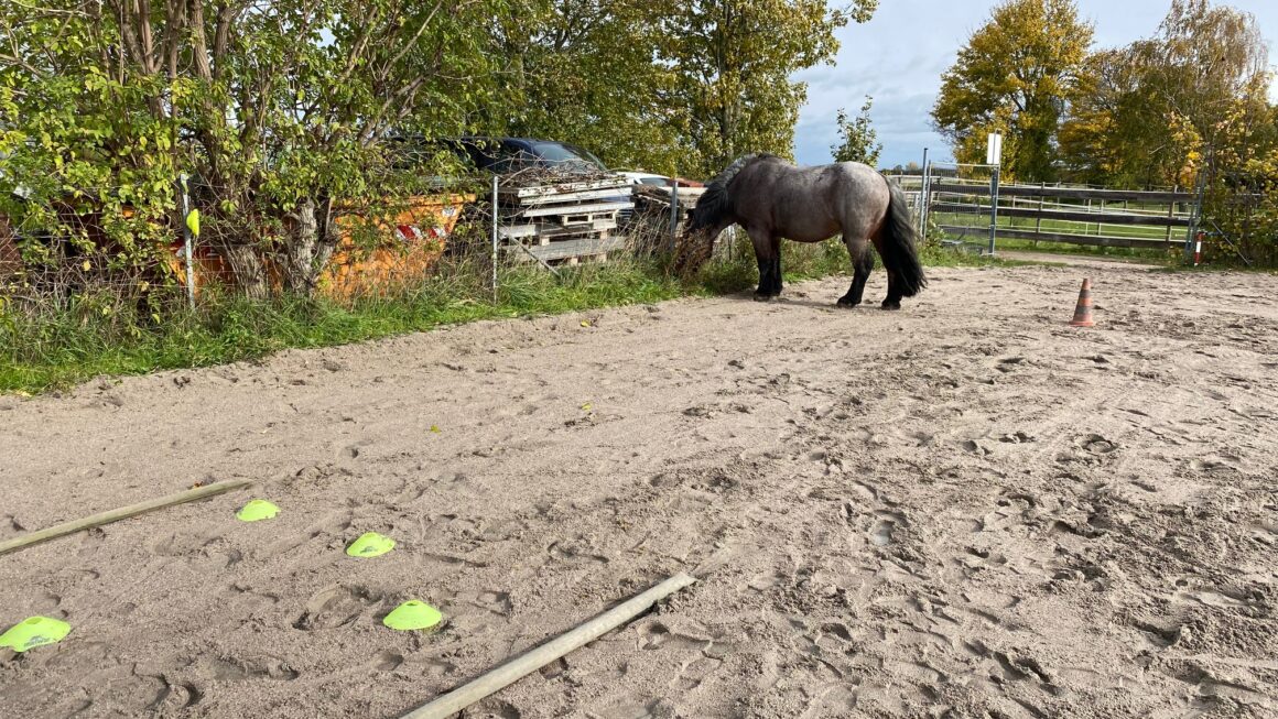 Wind = mehr Reize, mehr Anspannung