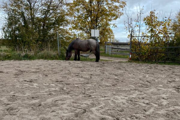 Herbstbedingte Konzentrationsdefizite