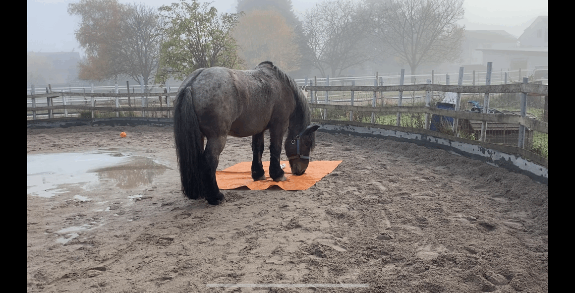 Einschnitte und neue Wege