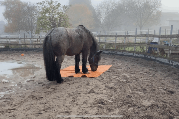 Einschnitte und neue Wege